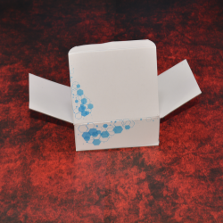 Empaque personalizado 13X 10.5 X 5  - 2