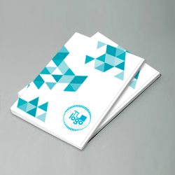 Catálogos Económico Impreso  - 2