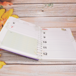 Cuadernos escolares  - 5